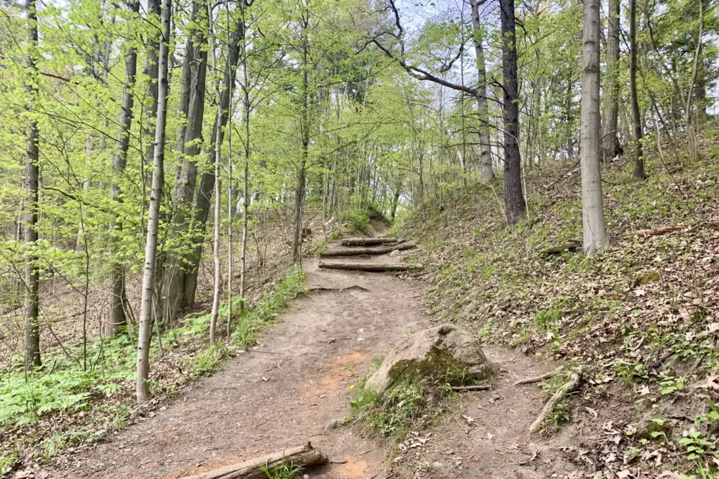 Beautiful Hiking Trails in Ontario